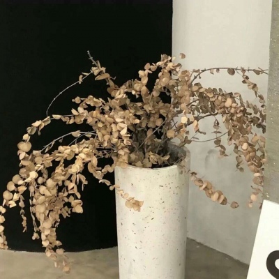 庆城福瑞交流群